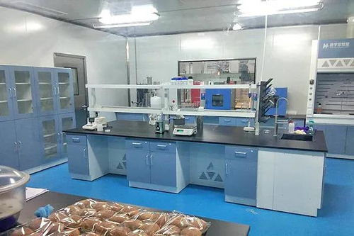 囍 恭祝四川食品廠十萬級凈化車間成功投產